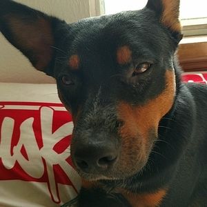 Meet your Posher, Clayton